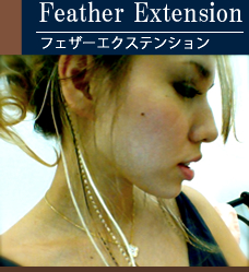 Feather Extension