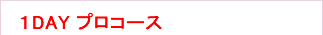 １DAY プロコース